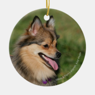 Pomeranian Headshot Panting Ceramic Tree Decoration