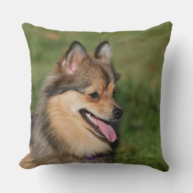 Pomeranian Headshot Panting Cushion (Front)
