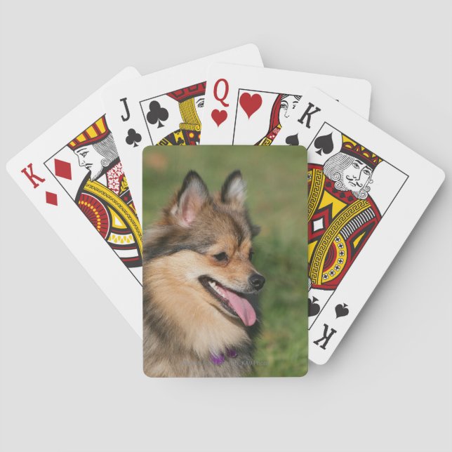 Pomeranian Headshot Panting Playing Cards (Back)