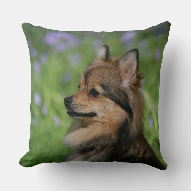 Pomeranian Headshot Sitting Cushion (Front)