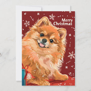 Pomeranian Holiday Card