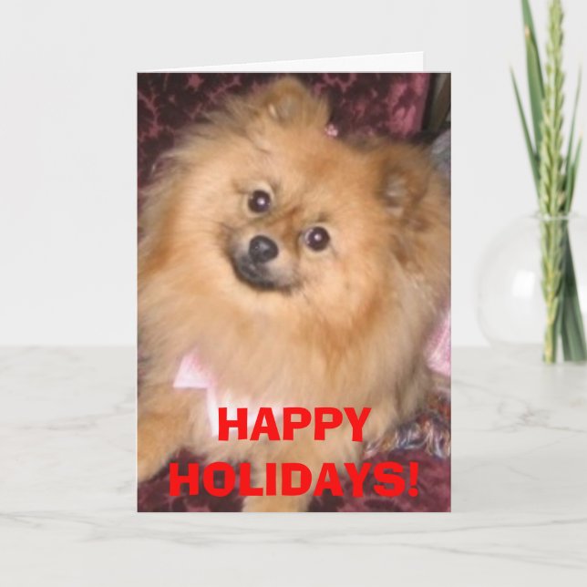 Pomeranian Holiday Card (Front)