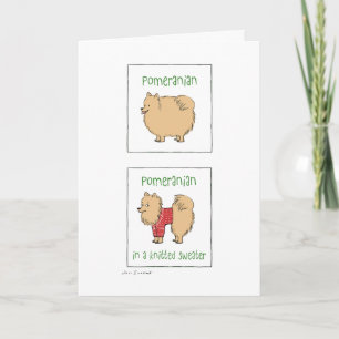 Pomeranian in a Knitted Sweater   Funny Christmas Holiday Card