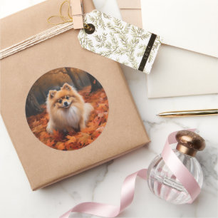 Pomeranian in Autumn Leaves Fall Inspire  Classic Round Sticker