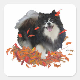 Pomeranian in Autumn Square Sticker