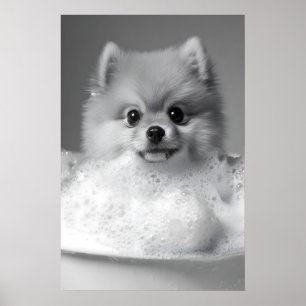 Pomeranian in Bubble Bath Print, Funny Dog Poster