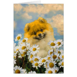 Pomeranian in Daisies Painting - Original Dog Art