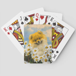 Pomeranian in Daisies Painting - Original Dog Art Playing Cards