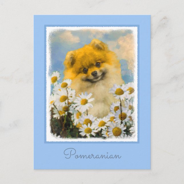 Pomeranian in Daisies Painting - Original Dog Art Postcard (Front)