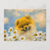 Pomeranian in Daisies Painting - Original Dog Art