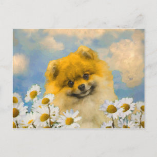 Pomeranian in Daisies Painting - Original Dog Art Postcard