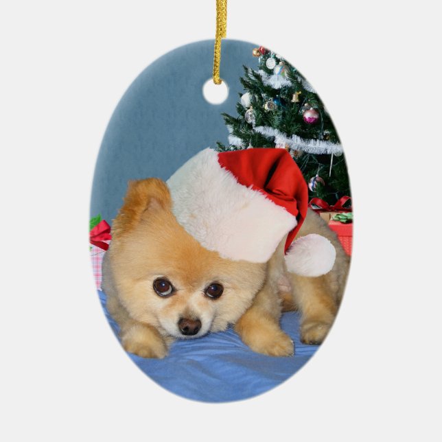 Pomeranian in Santa Hat Ornament (Front)