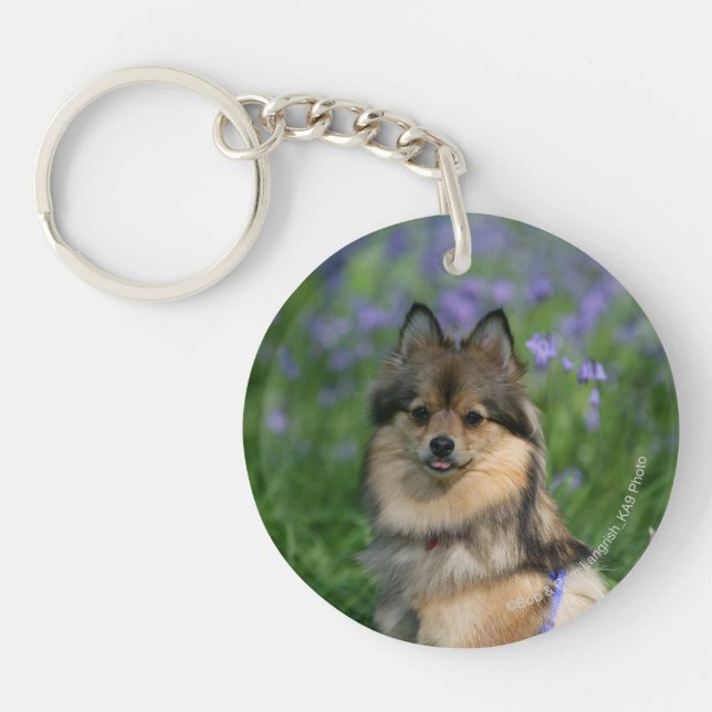 Pomeranian in the Grass Key Ring (Front)