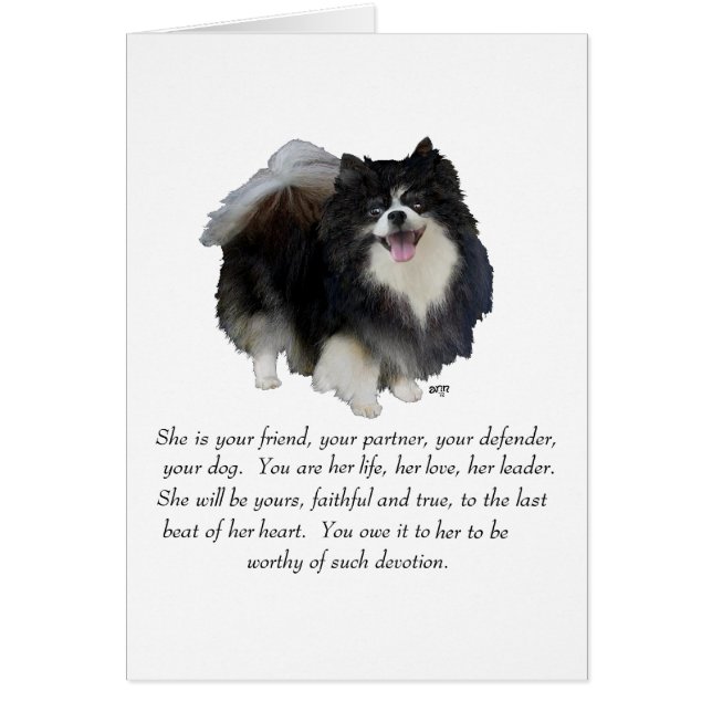 Pomeranian Keepsake Female (Front)