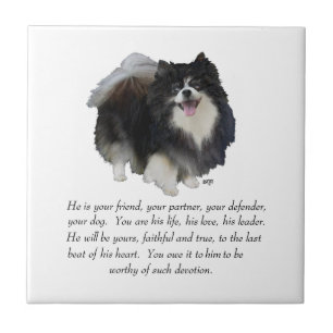 Pomeranian Keepsake Male Tile