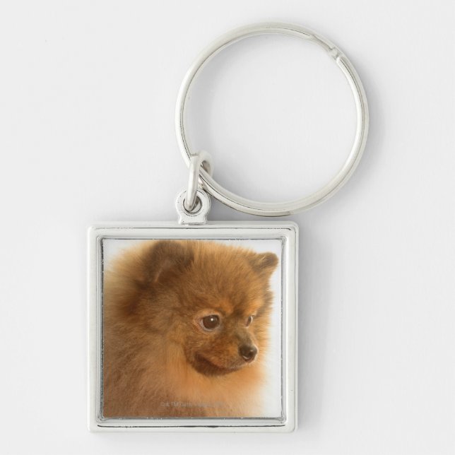 Pomeranian Key Ring (Front)