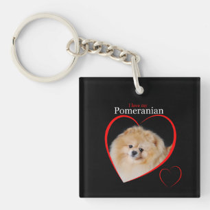 Pomeranian Keychain