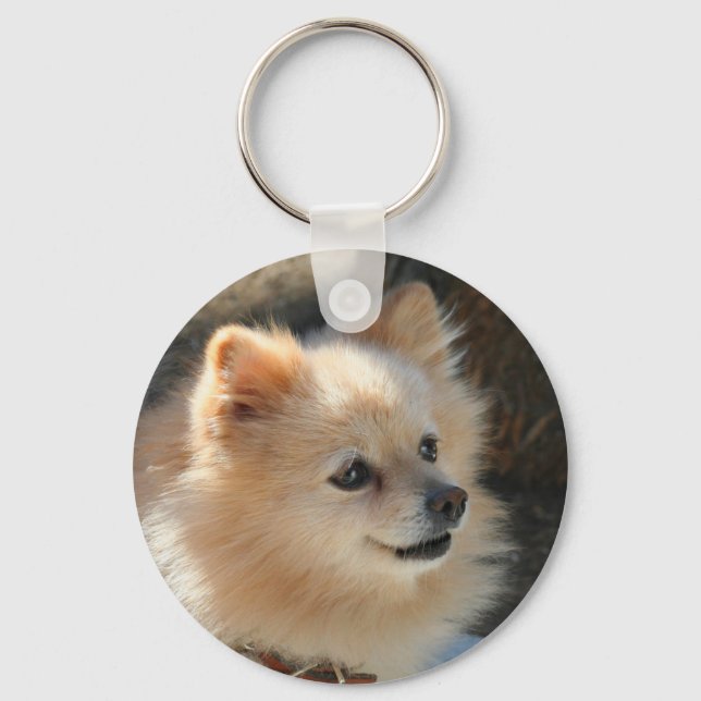 Pomeranian keychain (Front)