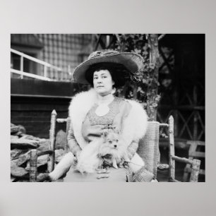 Pomeranian Lady, early 1900s Poster