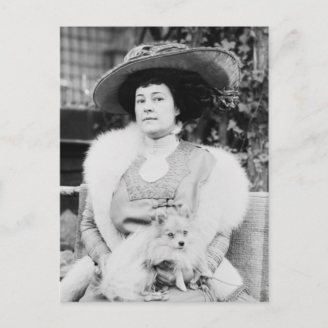 Pomeranian Lady Postcard (Front)