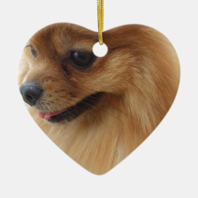 Pomeranian Lover Ceramic Tree Decoration (Front)