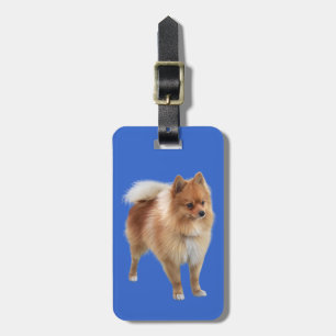 Pomeranian Luggage Tag