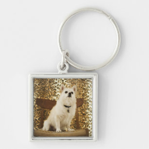 Pomeranian mix key ring