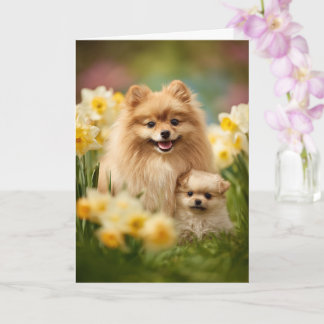 Pomeranian Mom Mother’s Day Love Card