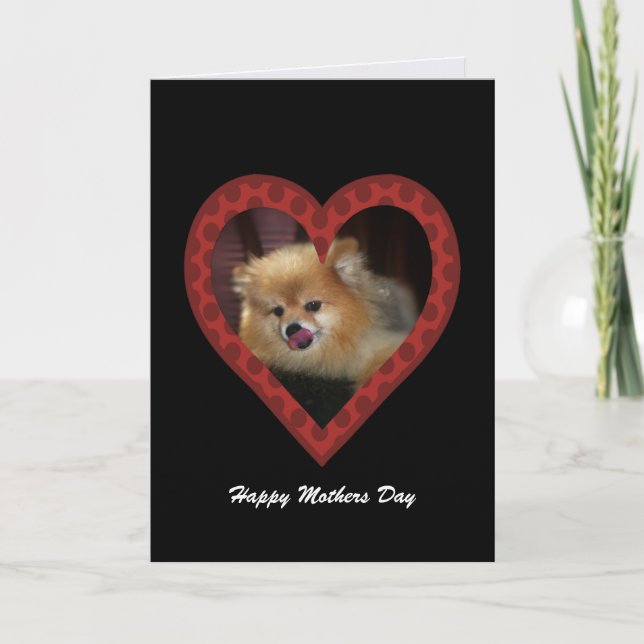 Pomeranian: Mothers Day Card (Front)