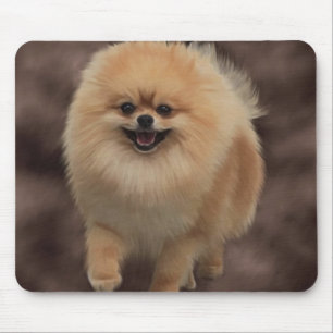 Pomeranian Mouse Mat