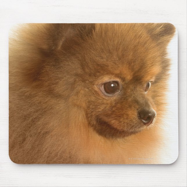 Pomeranian Mouse Mat (Front)