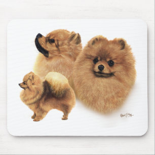 Pomeranian Mouse Mat