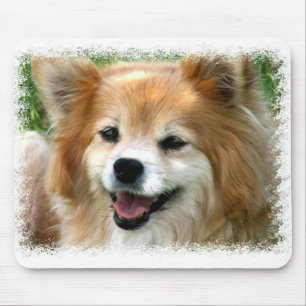 Pomeranian Mouse Pad