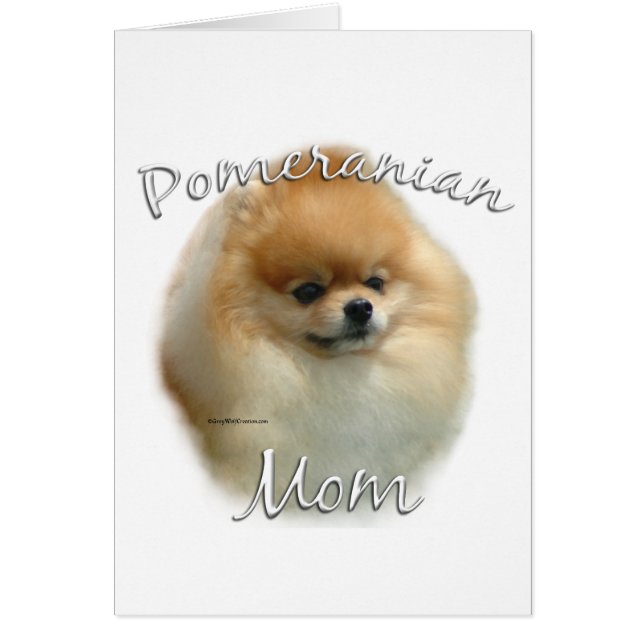 Pomeranian Mum 2 (Front)