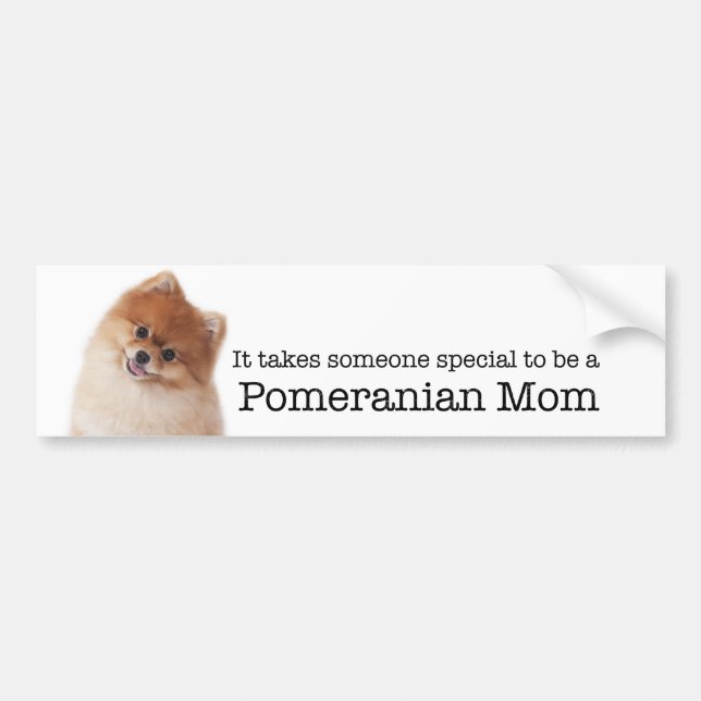 Pomeranian Mum Bumper Sticker (Front)