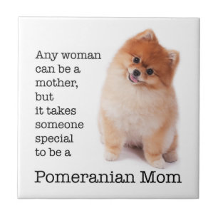 Pomeranian Mum Ceramic Tile