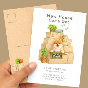 Pomeranian New House Moving  Postcard