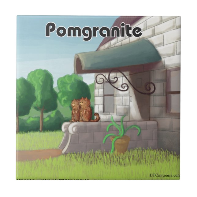 Pomeranian On Granite (Pomegranite) Funny Tile (Front)