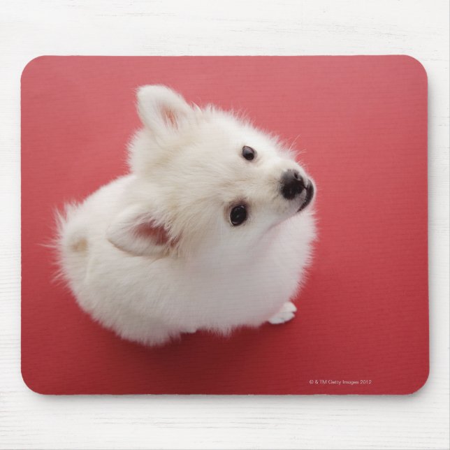 Pomeranian on the Red Carpet Mouse Mat (Front)