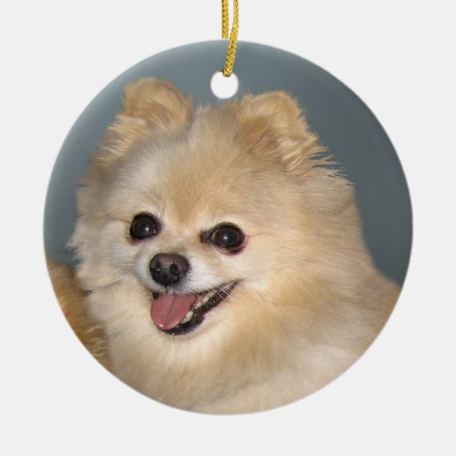 Pomeranian Ornament (Front)