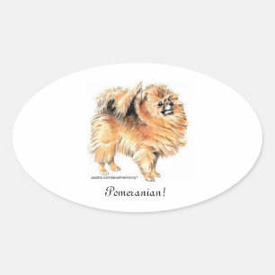 Pomeranian! Oval Sticker