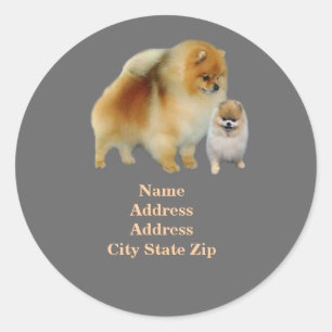 Pomeranian Pals Address Label