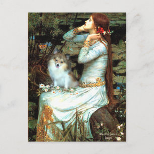 Pomeranian (parti2) - Mona Lisa Postcard