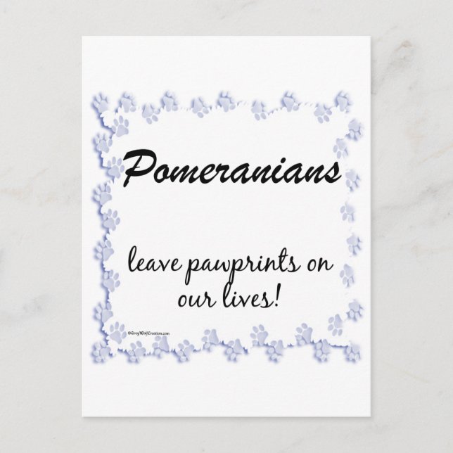 Pomeranian Pawprints Postcard (Front)