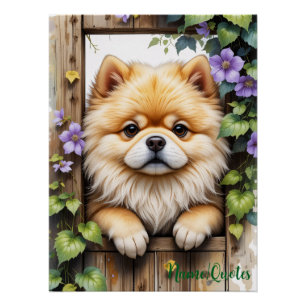 Pomeranian Peeking Through a Wooden Gate Poster