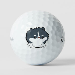 pomeranian peeking tri coloured golf balls