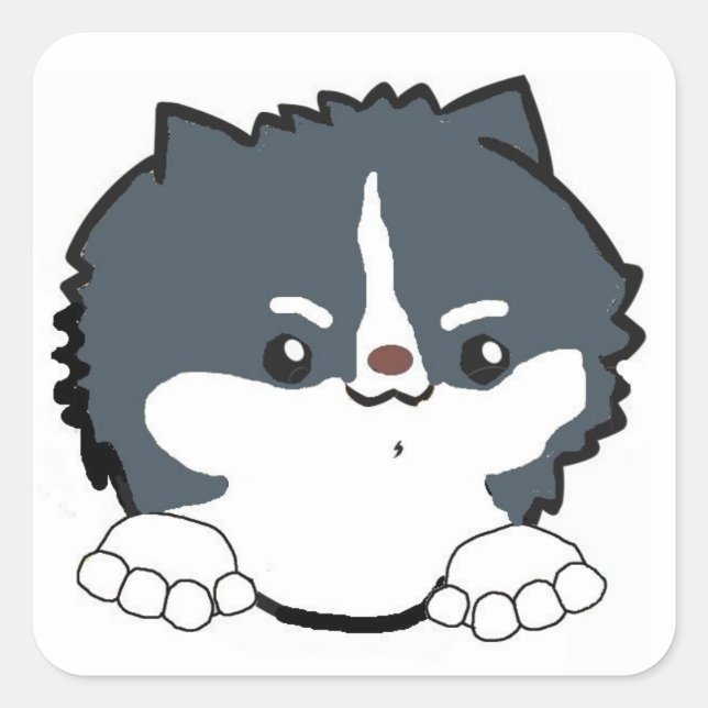 pomeranian peeking tri coloured square sticker (Front)