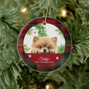 Pomeranian Personalised First Christmas Ceramic Tree Decoration
