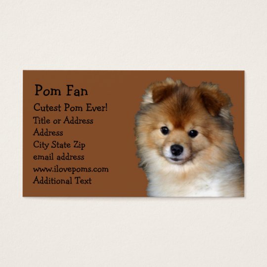 Pomeranian Photo Business Card