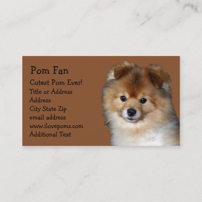 Pomeranian Photo Business Card (Front)